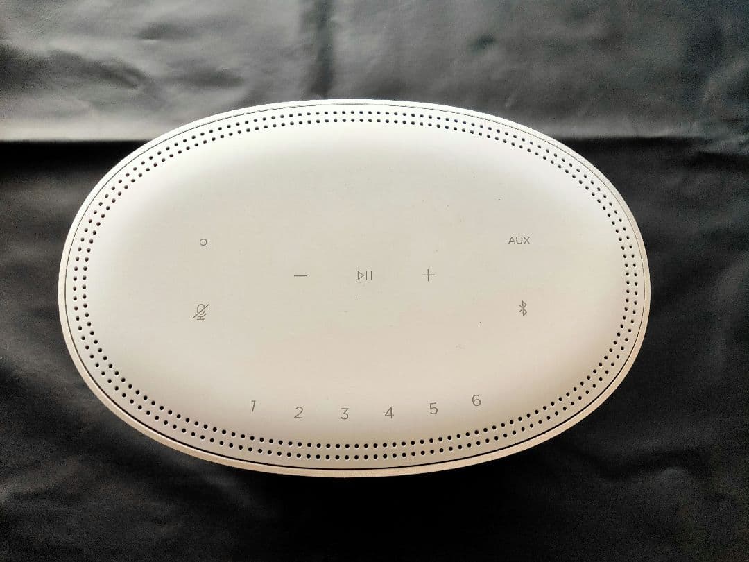 Bose  Speaker 500 シルバー 本体と電源ケーブル