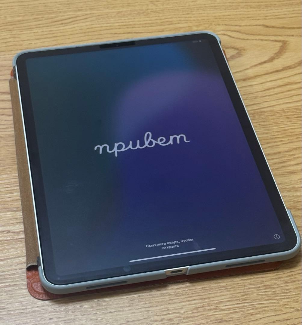 iPad本体 1030iPadPro256GB Wi-Fi+Cellular