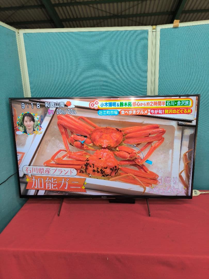 2021年製　ソニー49V型4K液晶テレビKJ-49X8500H　ネット動画対応