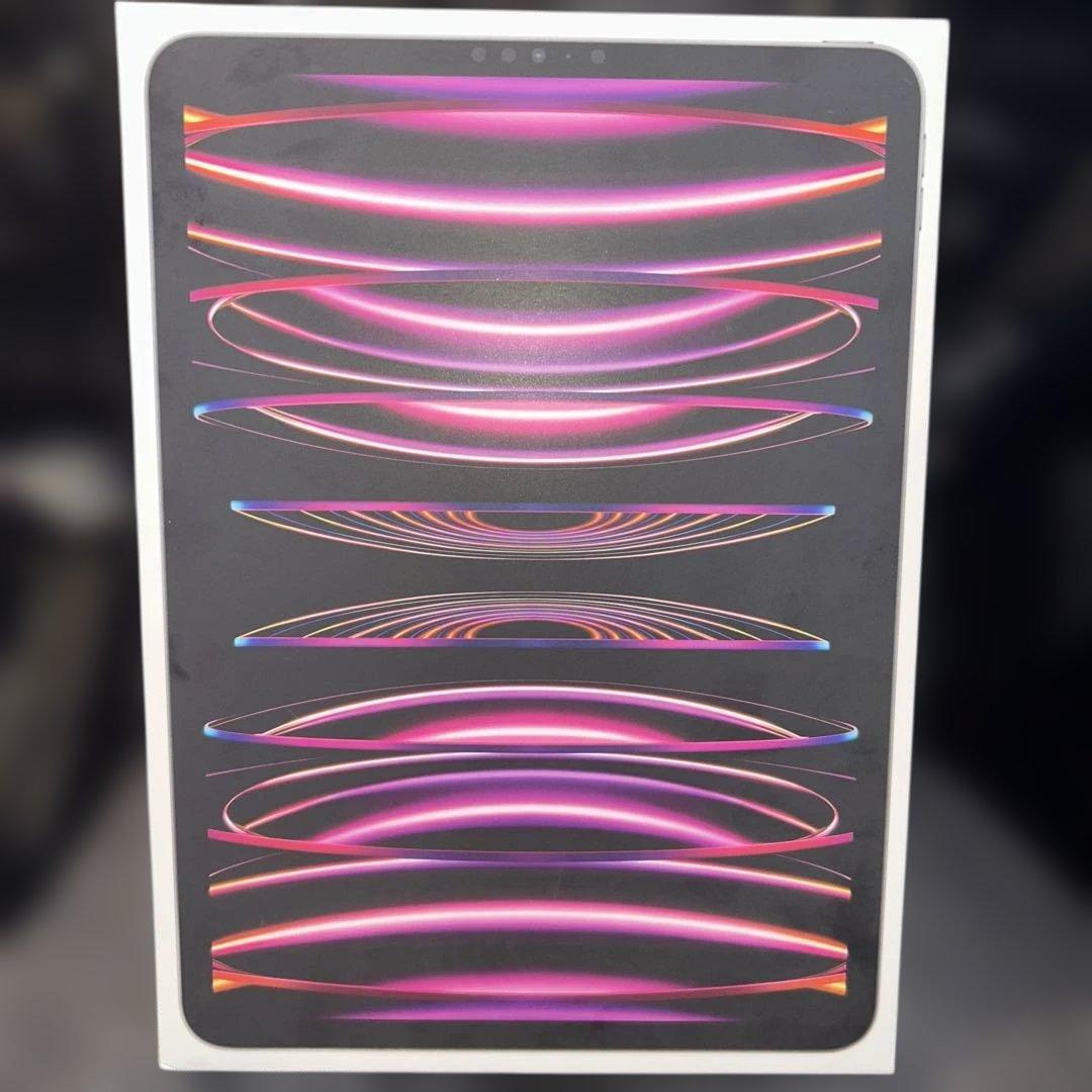 Apple iPad Pro 11インチ (第4世代) スペースグレー