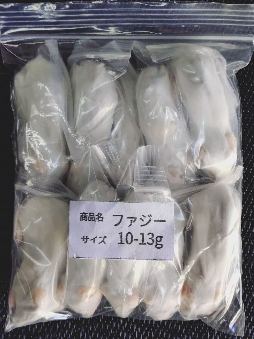 送料無料 冷凍マウスホッパー100匹　ファジー30匹