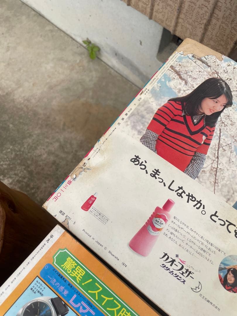 K*m様 明星　平凡　エンターテインメント雑誌コレクション　15冊