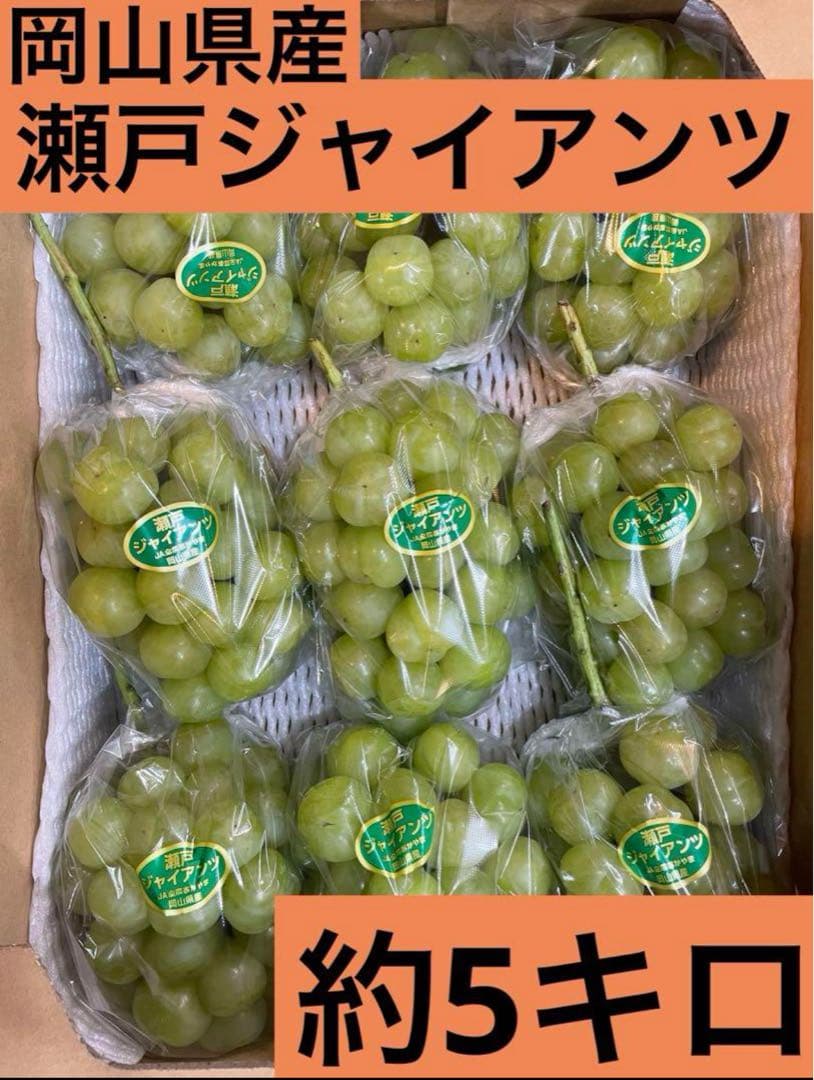 ⑦【岡山県産】瀬戸ジャイアンツ　7〜12房　約5キロ