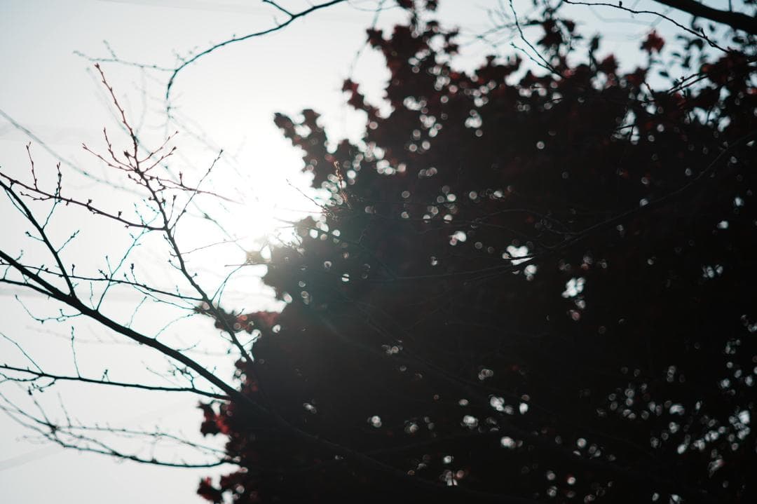 【整備＆テスト済】Pentax SMC Takumar 105mm F2.8 2