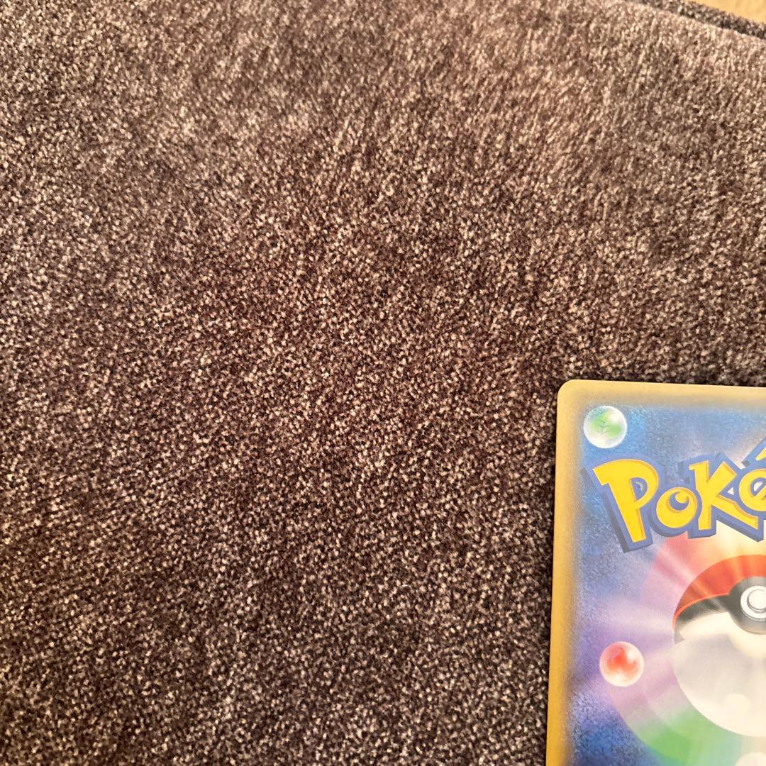 【美品】カルネ　SR