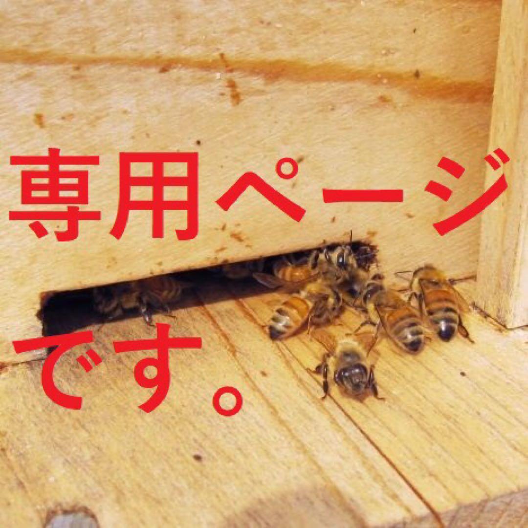 専用【非加熱・生はちみつ】百花蜜・1000g×3本と菜の花50gセット