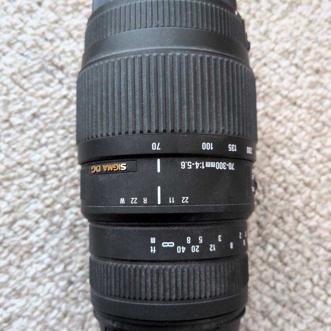 SIGMA 70-300mm F4-5.6 DG レンズ CANON用