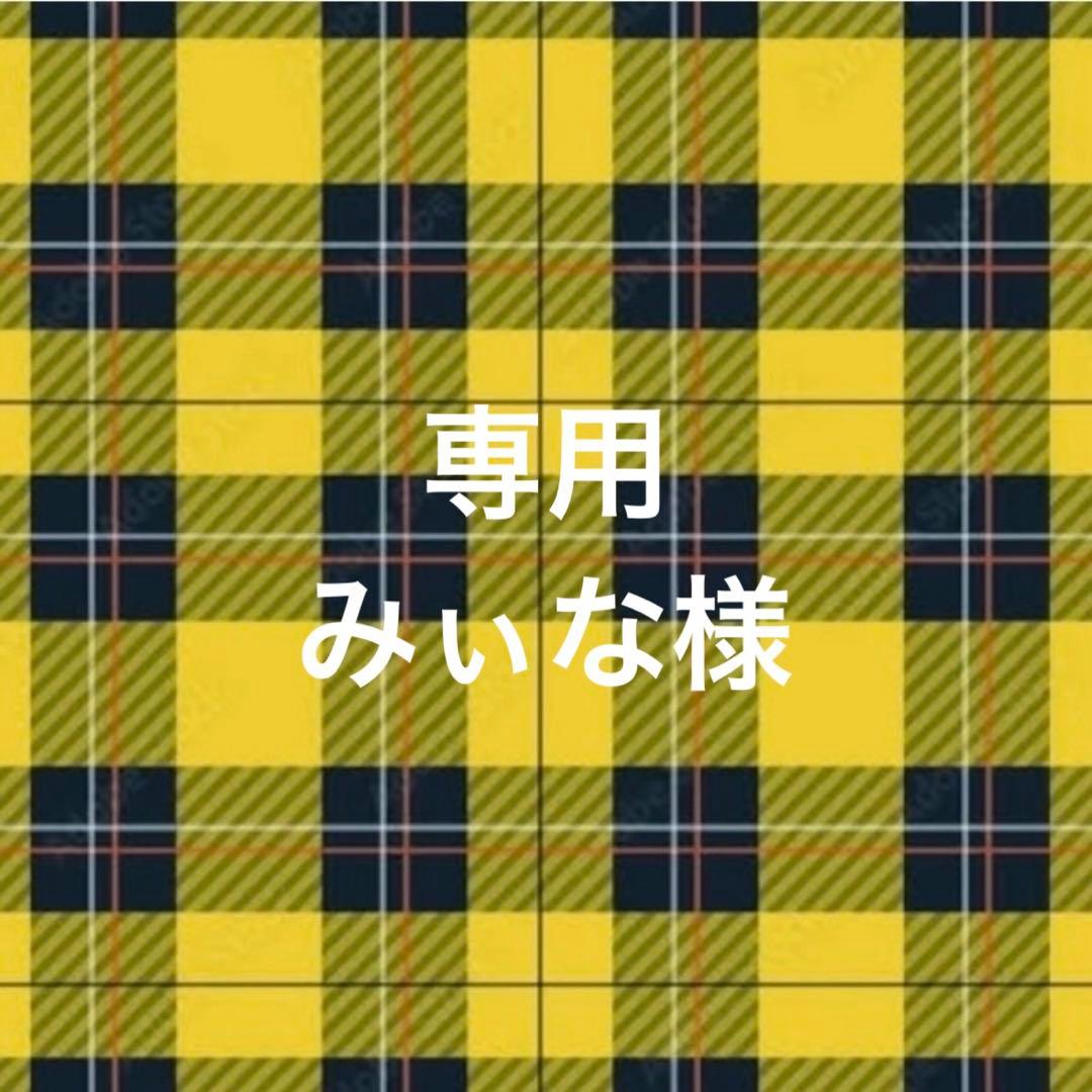 専用ページ みぃな様