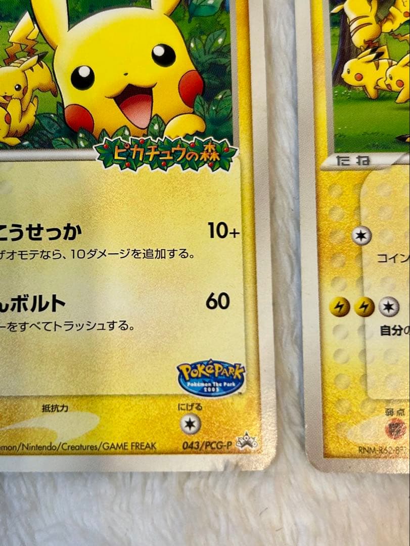 ポケパークのピカチュウ PROMO PCG-Pプロモカード 043/PCG-P