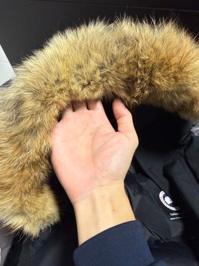   Arctic Program ダウンジャケット XS