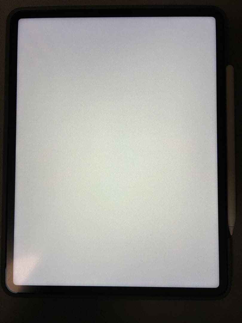 【美品】iPad Pro (12.9インチ) 第5世代 256GB Wi-Fi