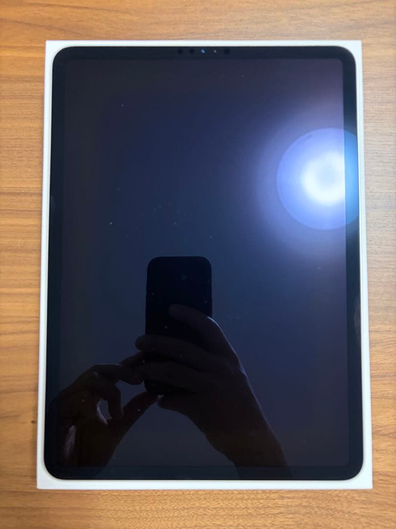 [最終値下げ価格]美品iPad Pro 11インチ256GB Wifi