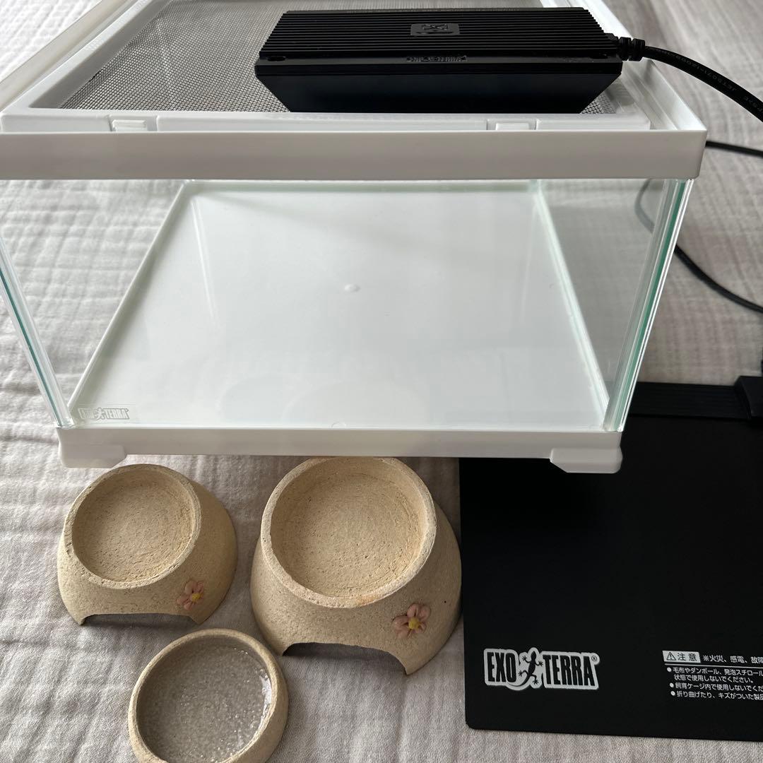 爬虫類 飼育セット GEX エキゾテラ レプテリア