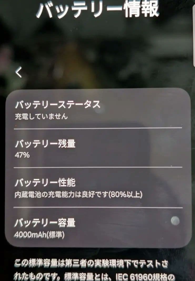 Samsung Galaxy S25 12GB/256GB ミント 日本版