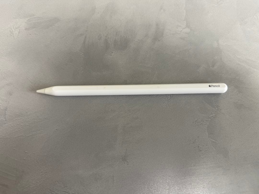 【値下げ対応不可】12.9インチiPadProWi-Fi128GBスペースグレイ