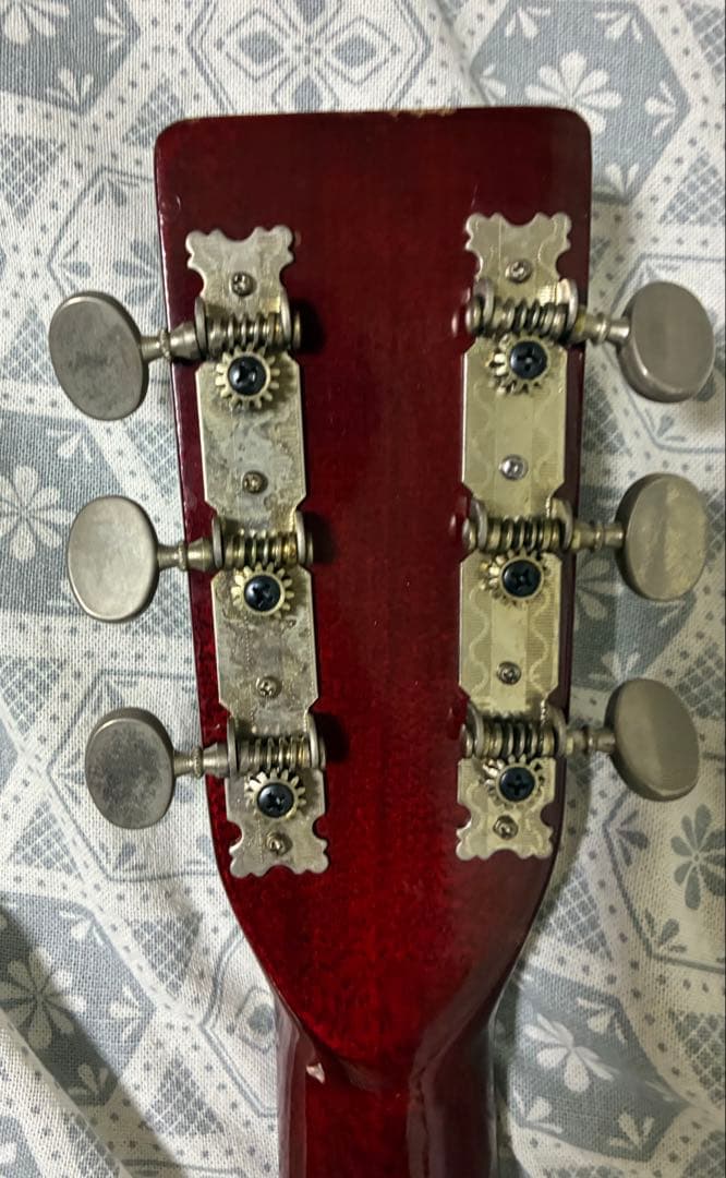 ス*ー様 アコースティックギター　アコギ　Greco【弦・ソフトケース付属】