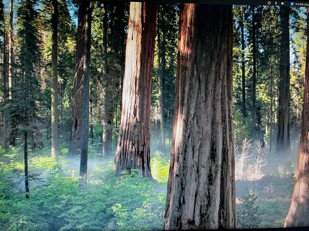 BenQ ZOWIE XL2411K ゲーミングモニター ベンキュージャパン