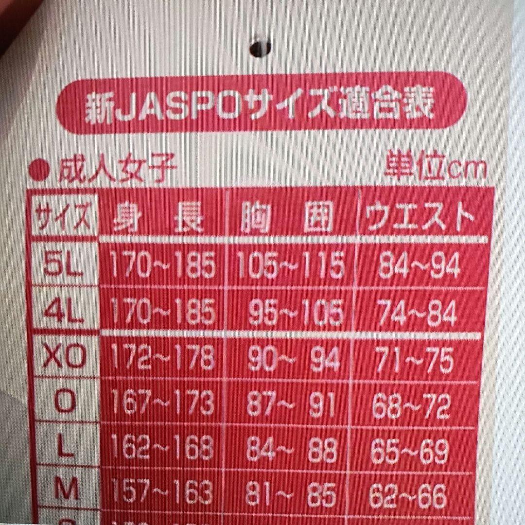 speedo ハイレグカット 競泳 ワンピース水着 mizuno期 ウロコ生地