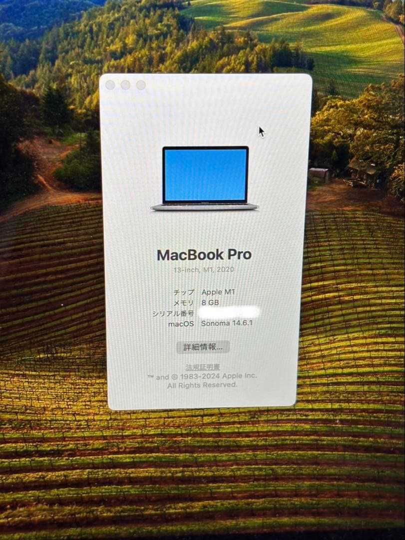 お値下げMacBook Pro (Apple M1, 8GB)
