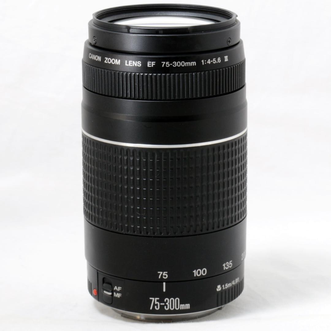 ⭐️良品⭐️Canon キャノン EF 75-300mm F4-5.6 Ⅲ
