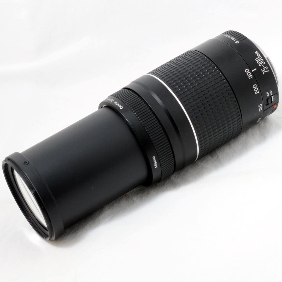 ⭐️良品⭐️Canon キャノン EF 75-300mm F4-5.6 Ⅲ