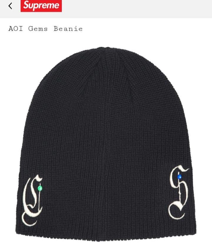 Supreme / AOI Gams Beanie (黒)