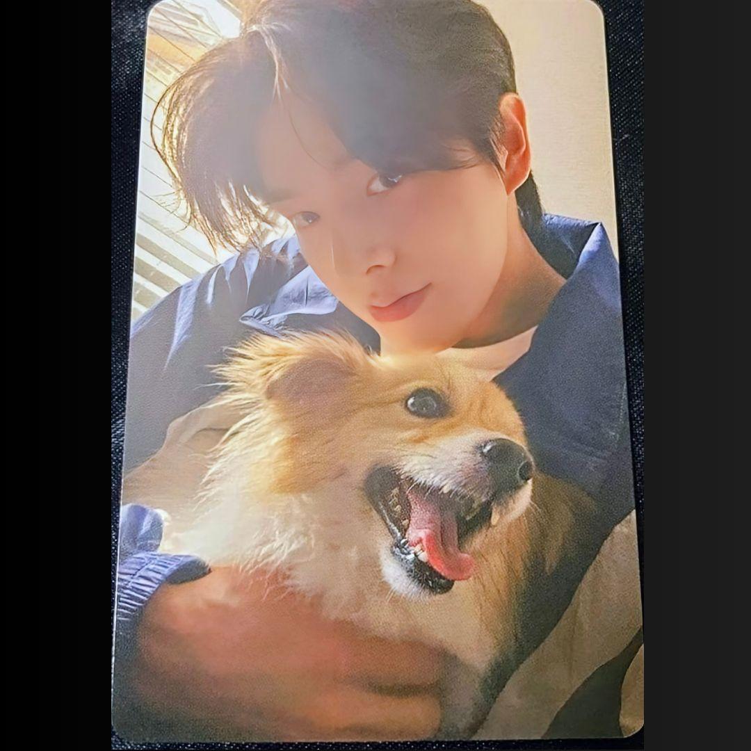 【ジェイク】ENHYPEN 特典　トレカ