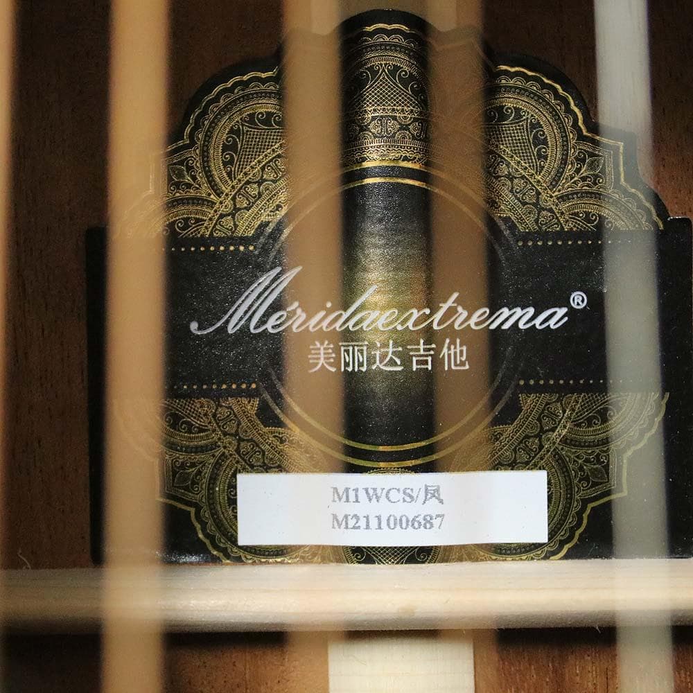 Merida Extreme Guiters M1 ギター メリダ M1WCS