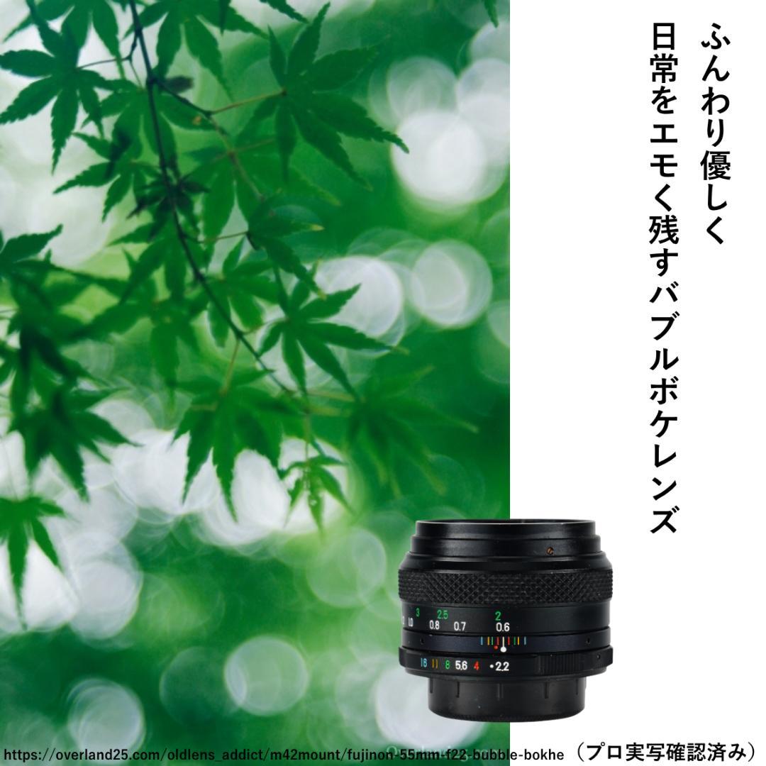 泡のようなボケで日常に彩り FUJINON 55mm F2.2 666