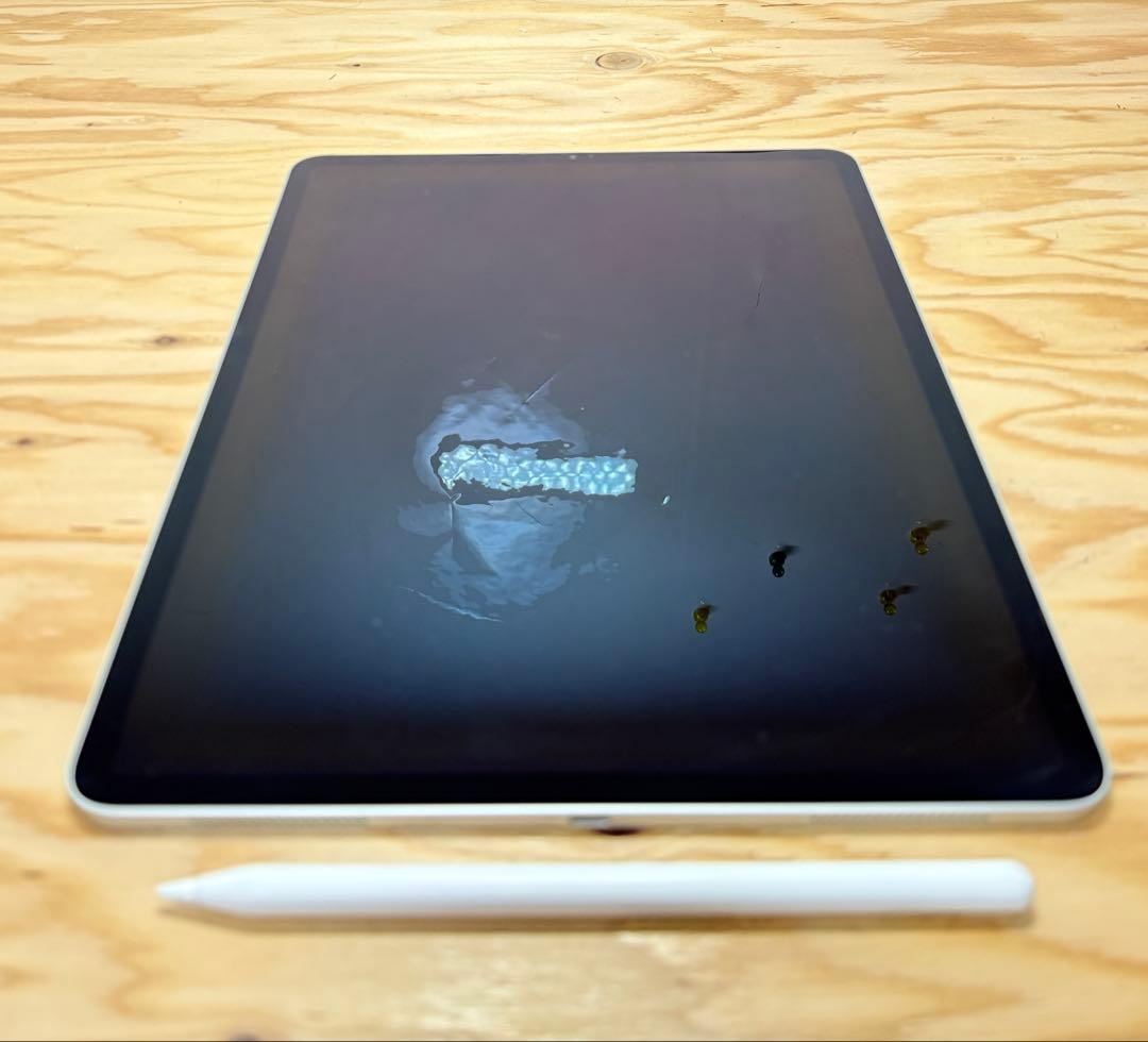 Apple iPad Pro 第3世代 本体