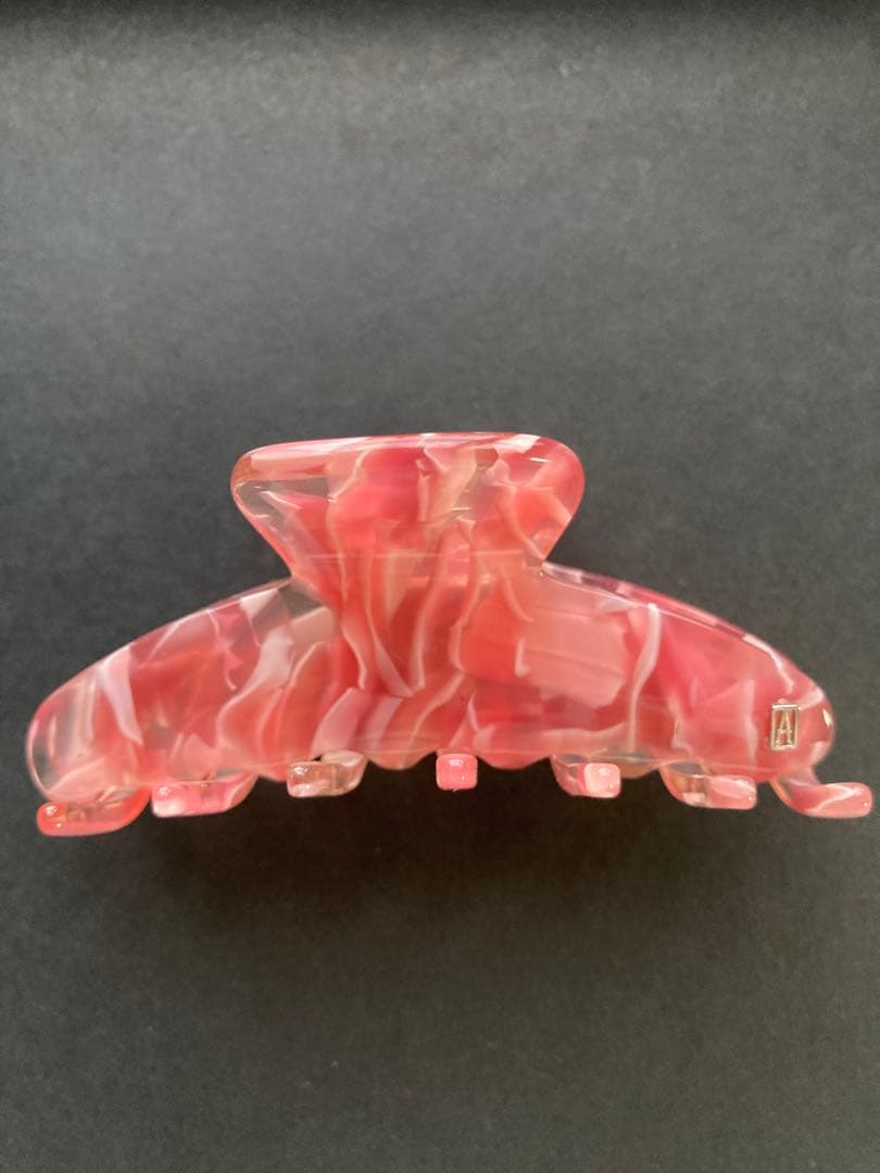 ( 最終価格 ) 試着程度 アレクサンドルドゥパリ クリップ