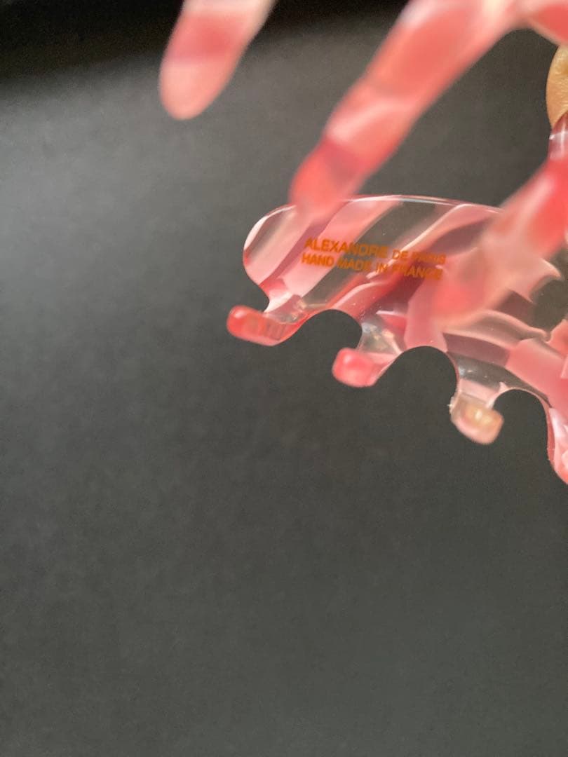 ( 最終価格 ) 試着程度 アレクサンドルドゥパリ クリップ