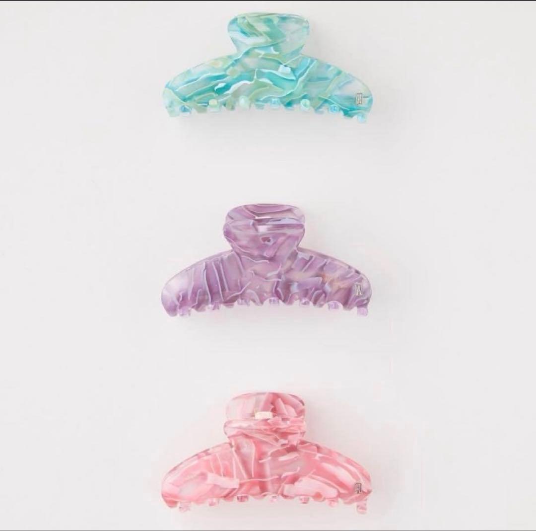 ( 最終価格 ) 試着程度 アレクサンドルドゥパリ クリップ