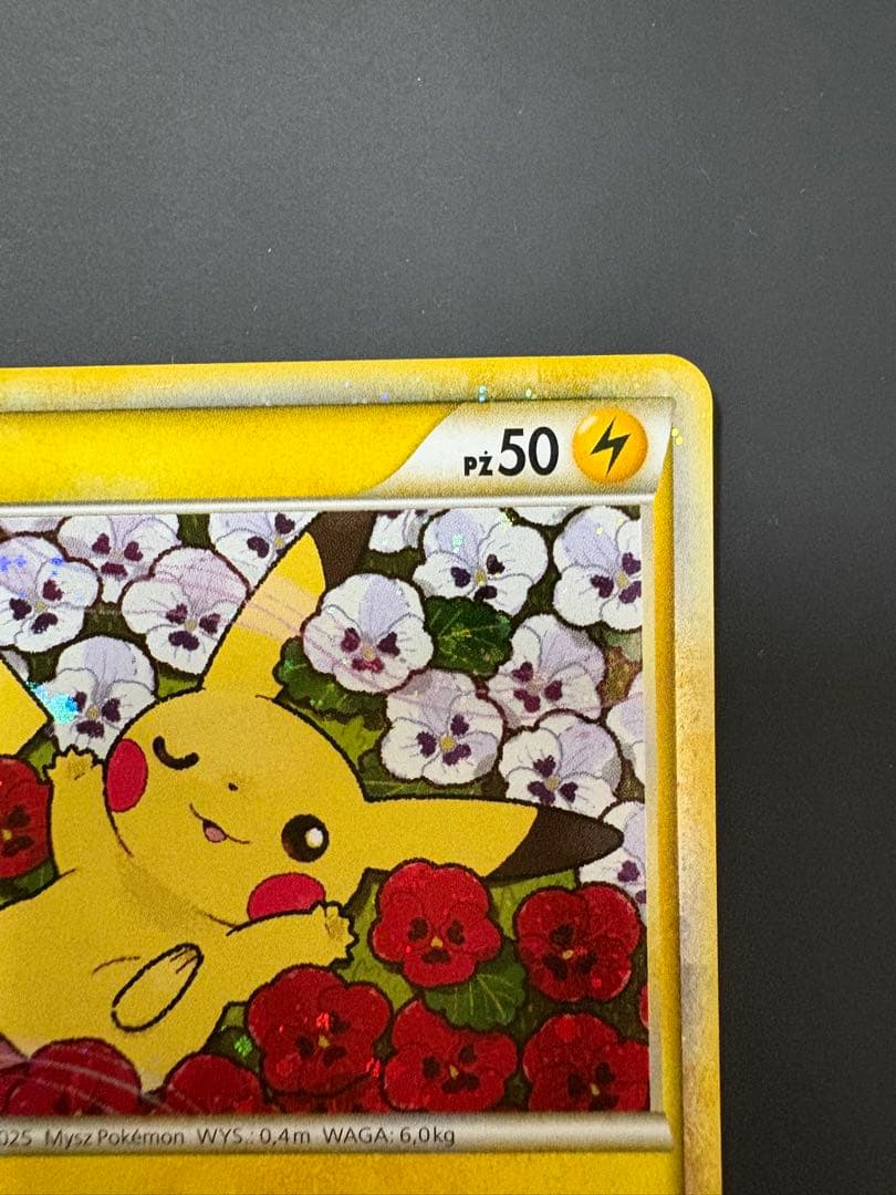 ポケモンカード ピカチュウ ワールド　ポーランド