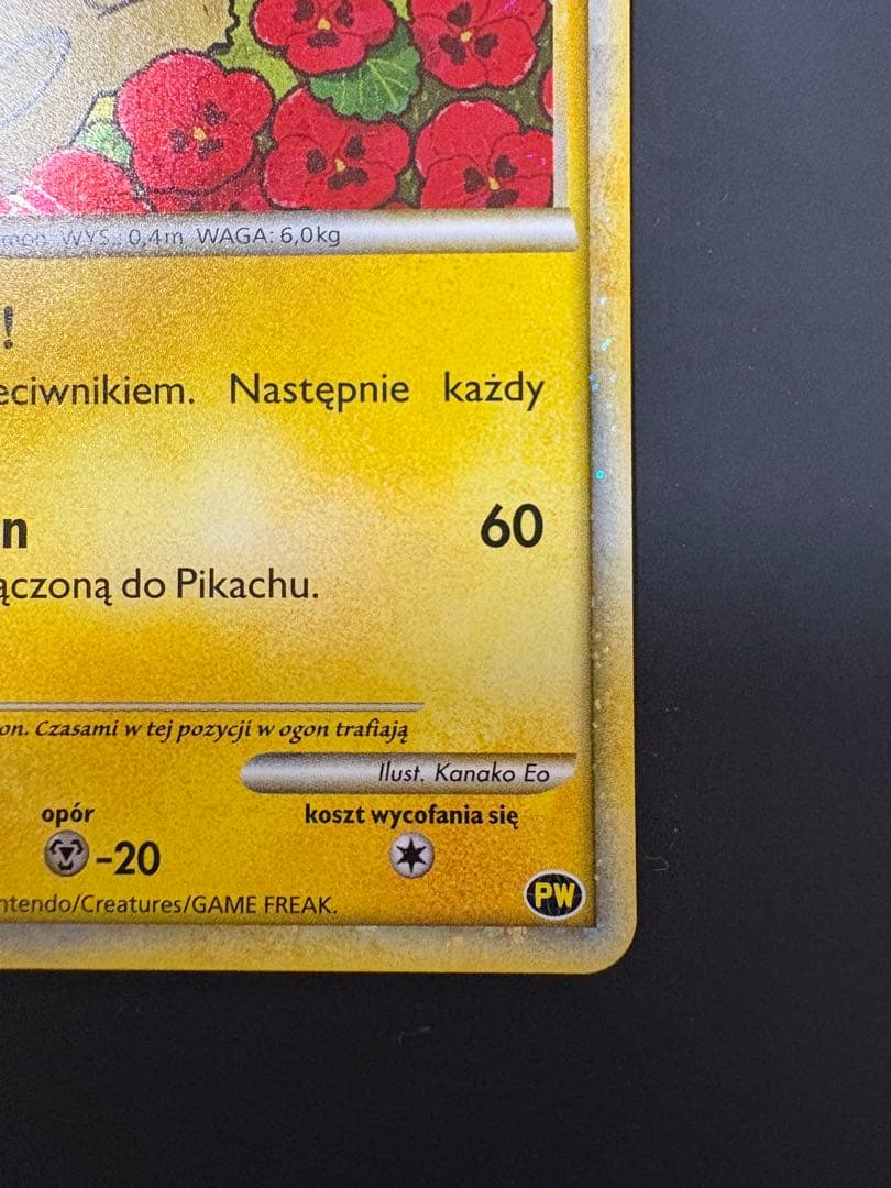 ポケモンカード ピカチュウ ワールド　ポーランド