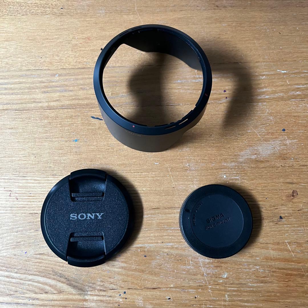 【ジャンク・カビあり】SONY SELP18105G 18-105mm F4