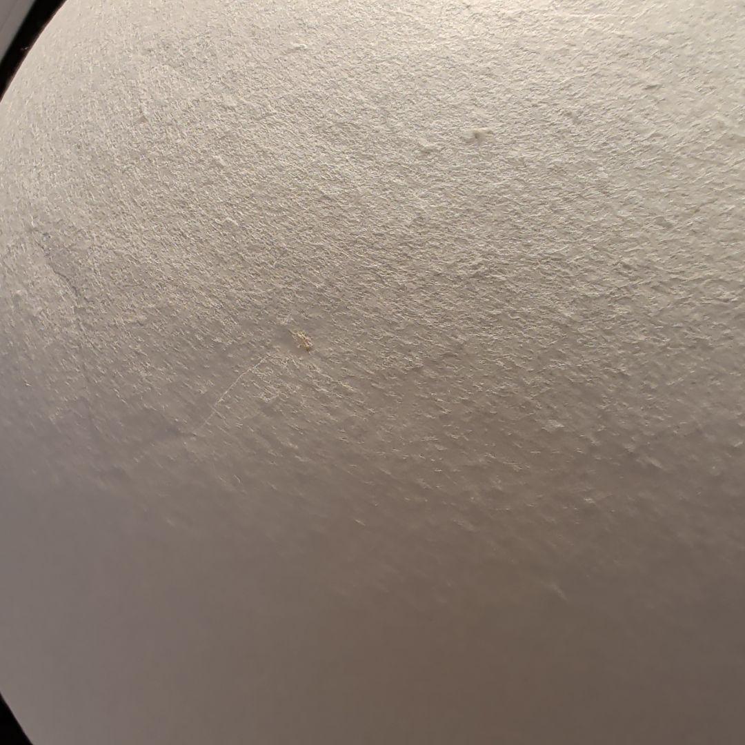 【引取限定:東京世田谷区】(美品)　AOYA Tama ペンダントライト　М