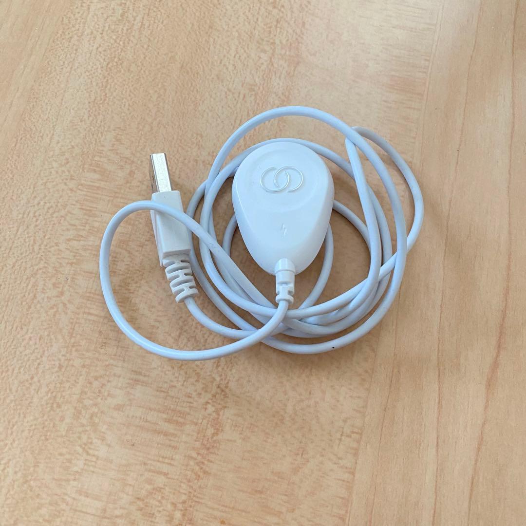 【最終値下げ】ニュースキン ルミスパ IO 美顔器 nuskin セット