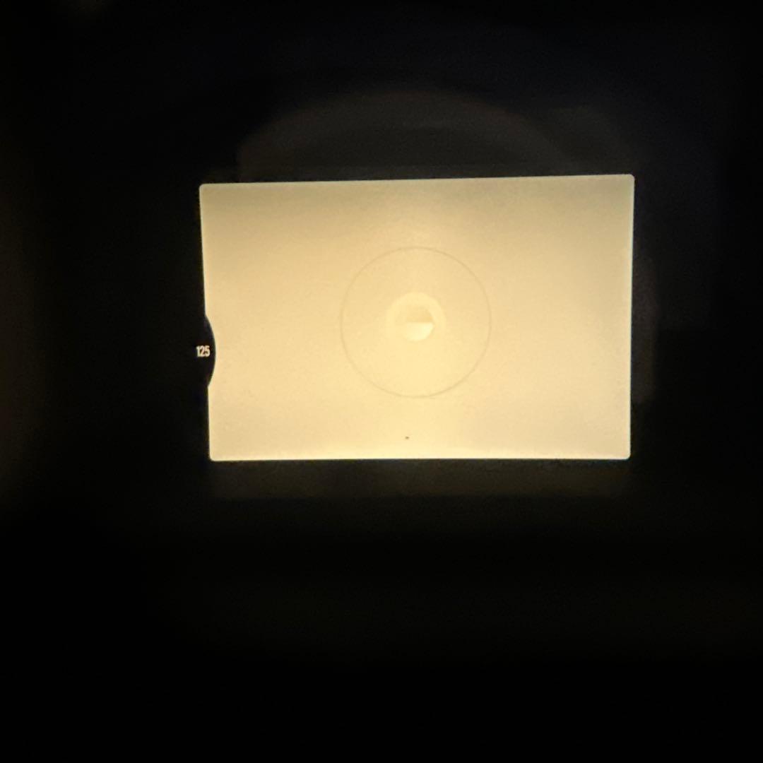 Z*n様 Nikon NewFM2 NPS ストラップ付き フィルムカメラ ブラ