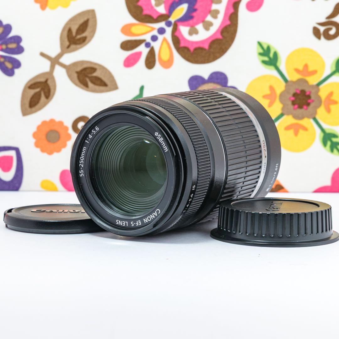 ⭐️キャノンCanon EF-S 55-250 mm⭐️手ブレ補正望遠レンズ⭐️