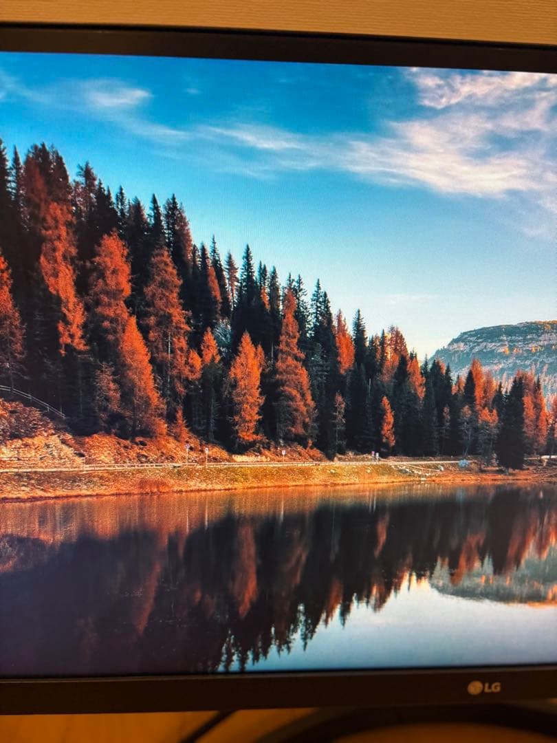 LG Electronics Japan 29WL500-B/29インチ