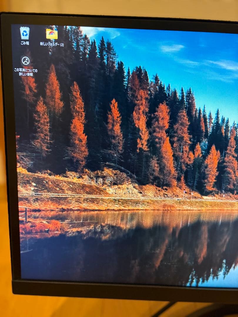 LG Electronics Japan 29WL500-B/29インチ