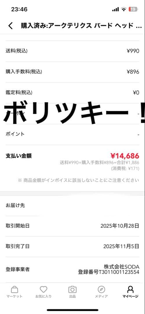 ARC'TERYX Bird Head Toque \"Orca\" ビーニー