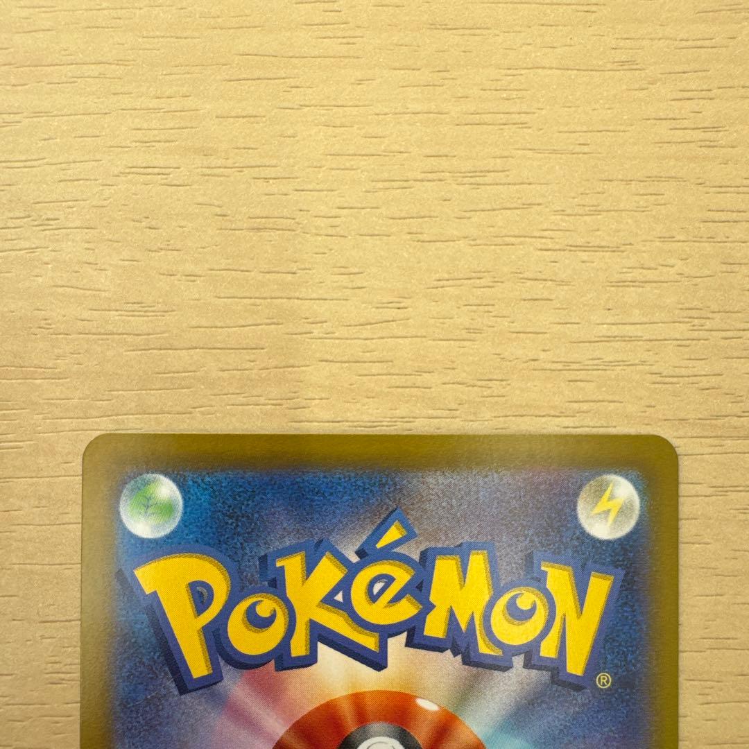 【美品】ポケモンカード シロナのガブリアスsar