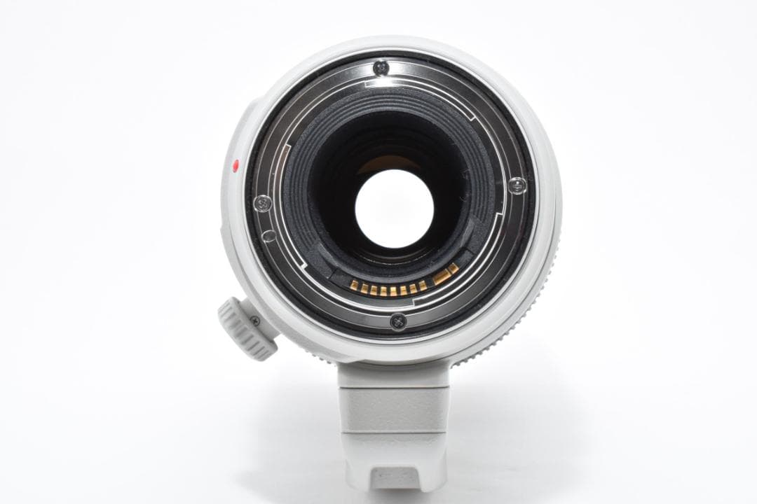 うさぎ様用Canon EF 100-400mm f/4.5-5.6L IS II