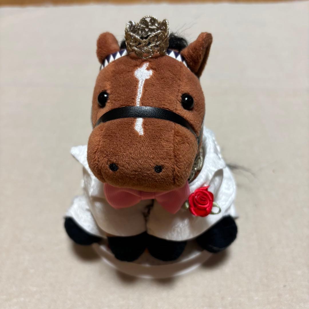 アイドルホース❣️ドレス❣️マント❣️