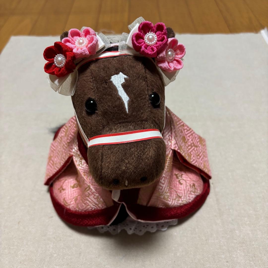 アイドルホース❣️ドレス❣️マント❣️