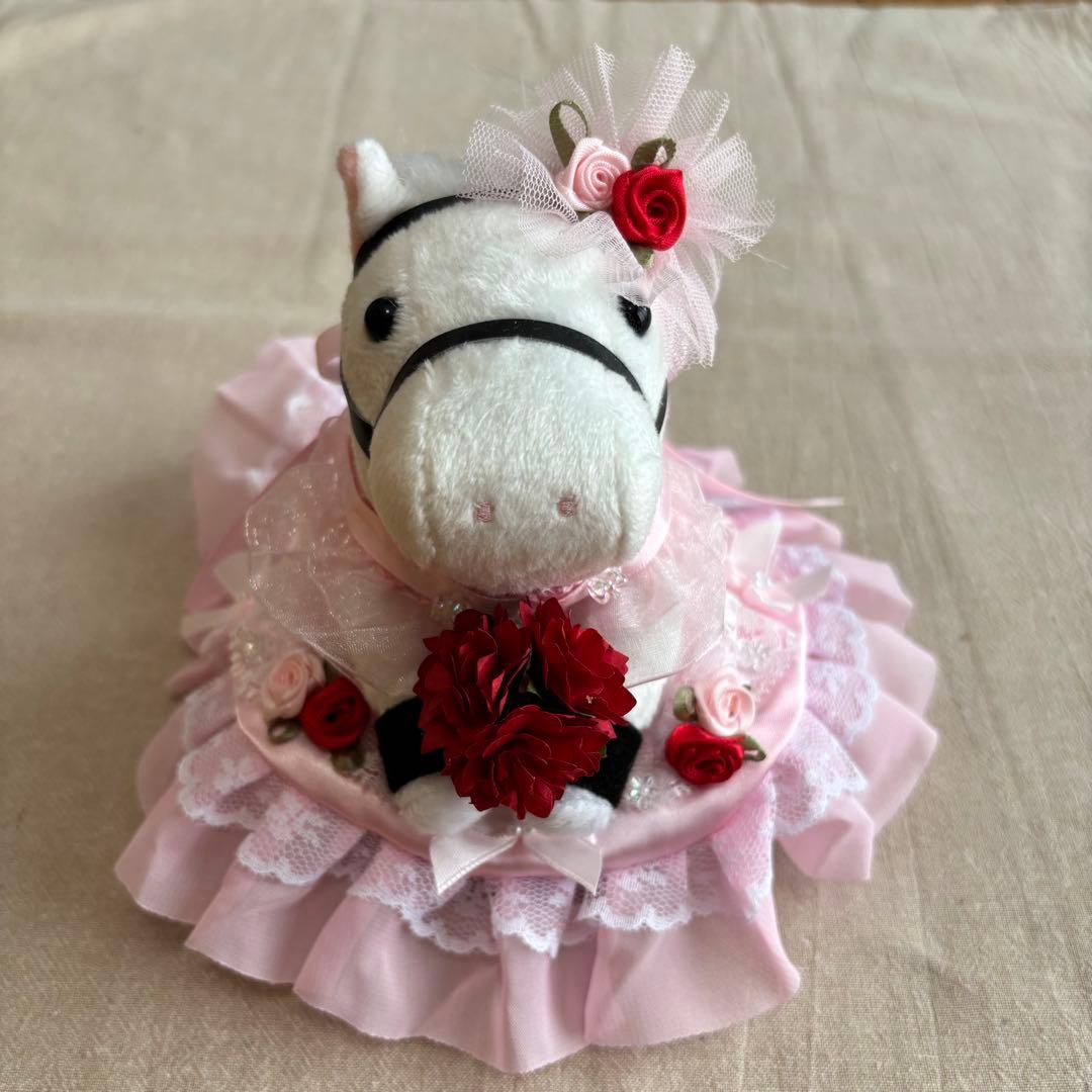 アイドルホース❣️ドレス❣️マント❣️