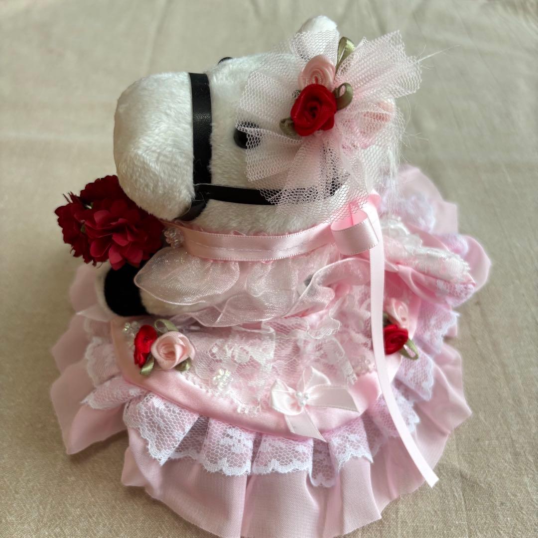 アイドルホース❣️ドレス❣️マント❣️