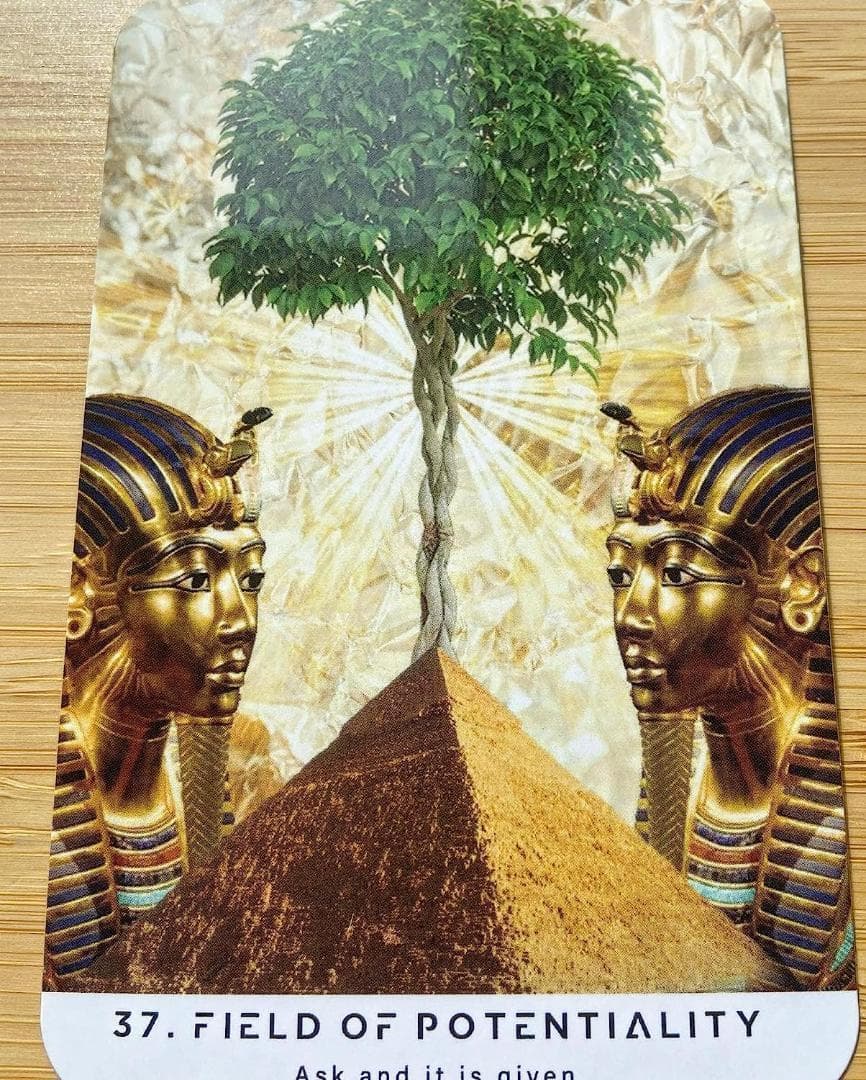 ゆきのあ★オラクル